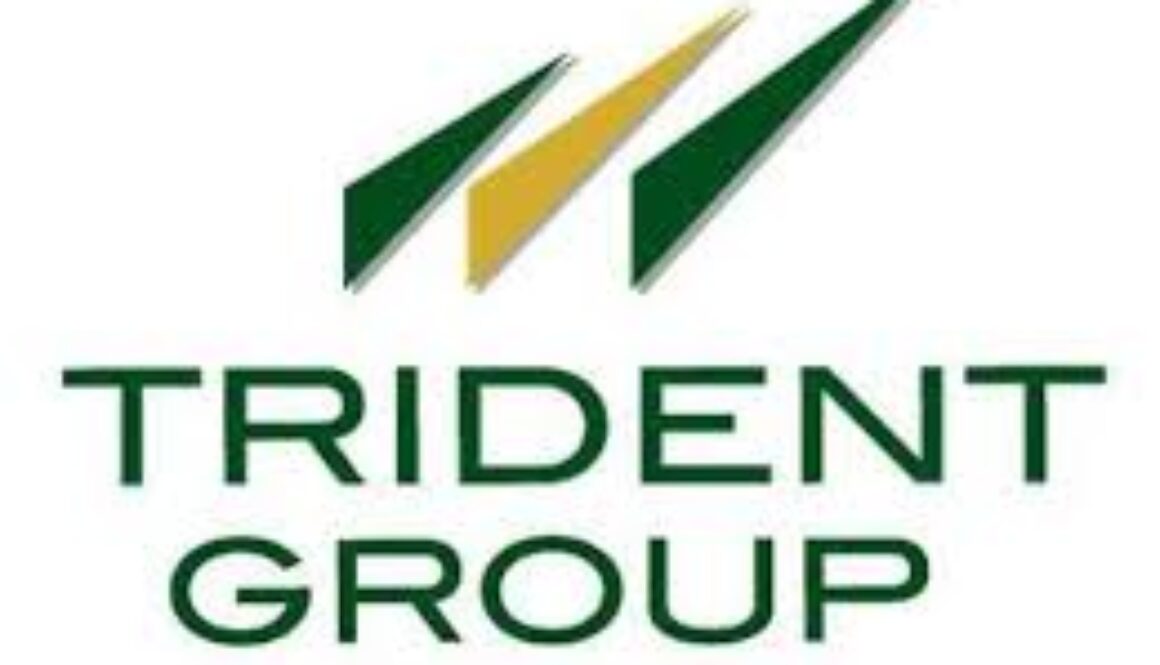 TRIDENT-GROUP